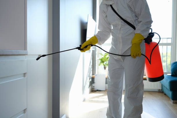 Trusted Watsessing, NJ Mold Remediation Experts